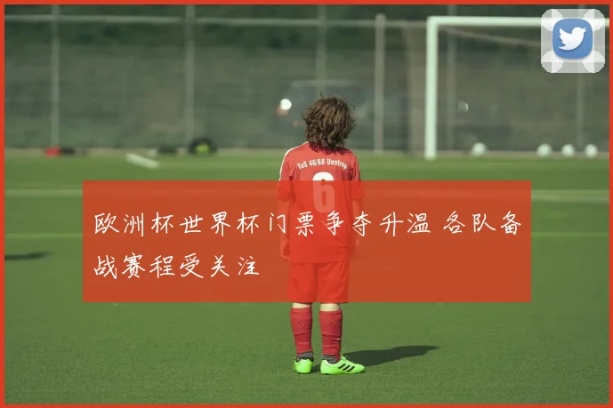 欧洲杯世界杯门票争夺升温 各队备战赛程受关注