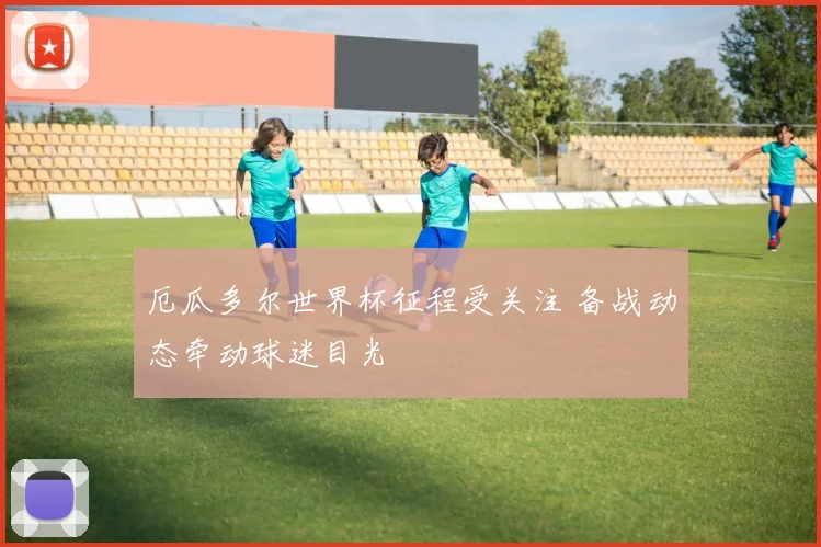 厄瓜多尔世界杯征程受关注 备战动态牵动球迷目光