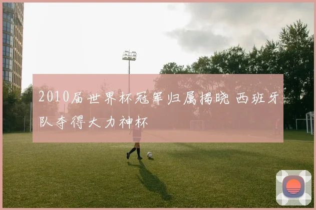 2010届世界杯冠军归属揭晓 西班牙队夺得大力神杯