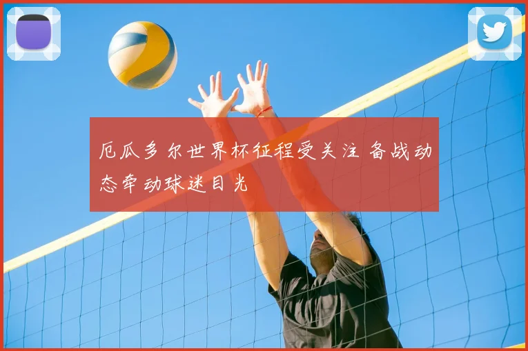 厄瓜多尔世界杯征程受关注 备战动态牵动球迷目光