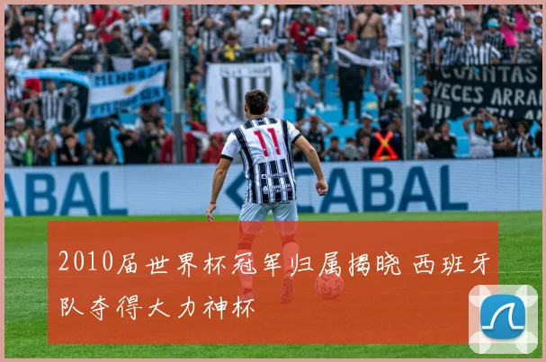 2010届世界杯冠军归属揭晓 西班牙队夺得大力神杯