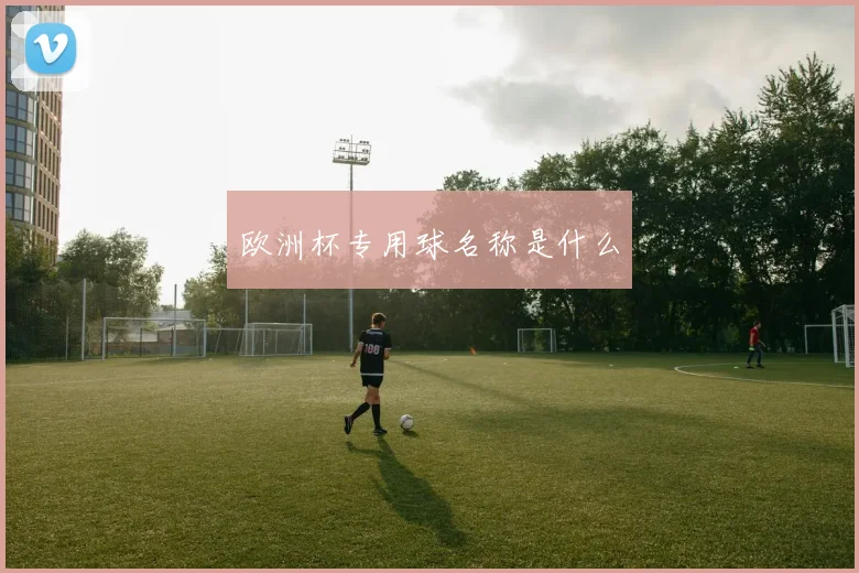 欧洲杯专用球名称是什么